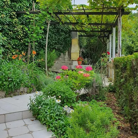 Daire Design Bonavista